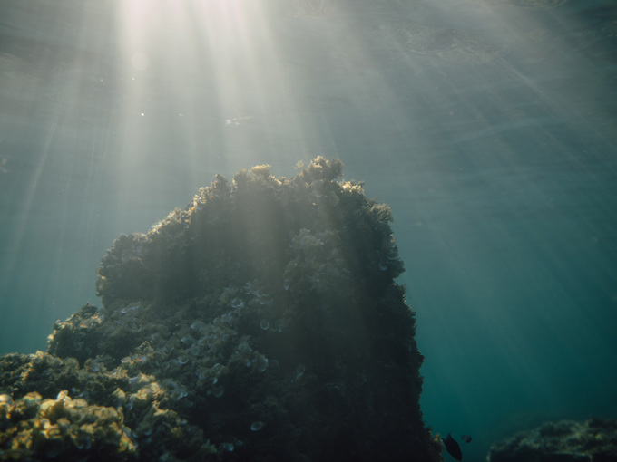 Stocksy Txp4ae76bf9lyl200 Originaldelivery 1486800 Web