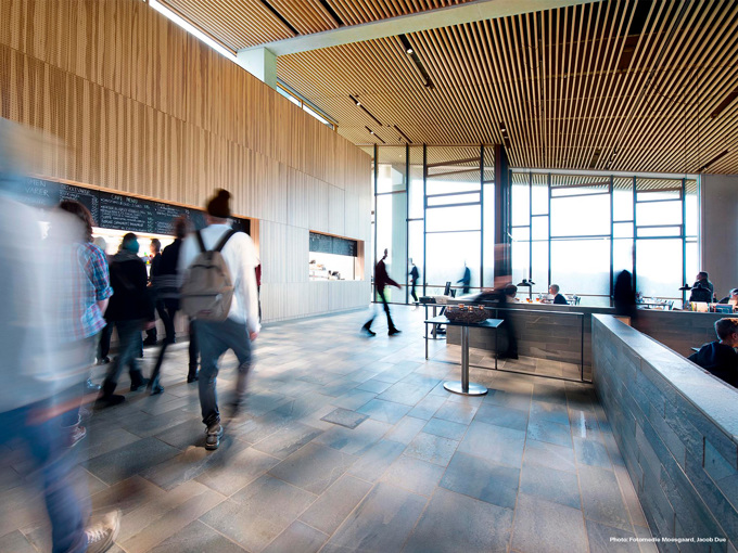 Moesgaard 6 Web Credited