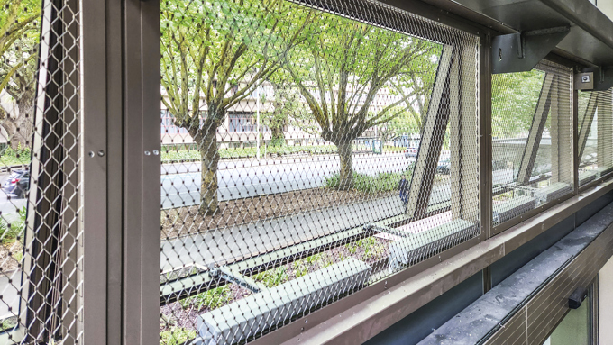 University Of Auckland Web 05