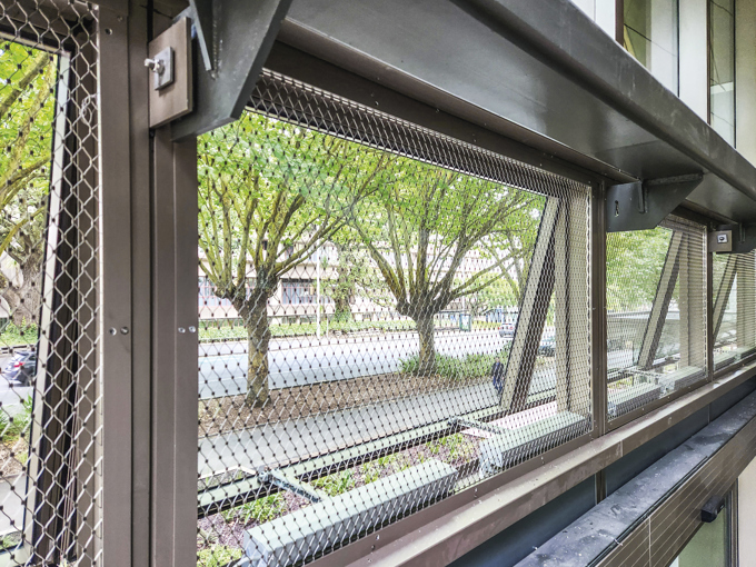 University Of Auckland Web 05