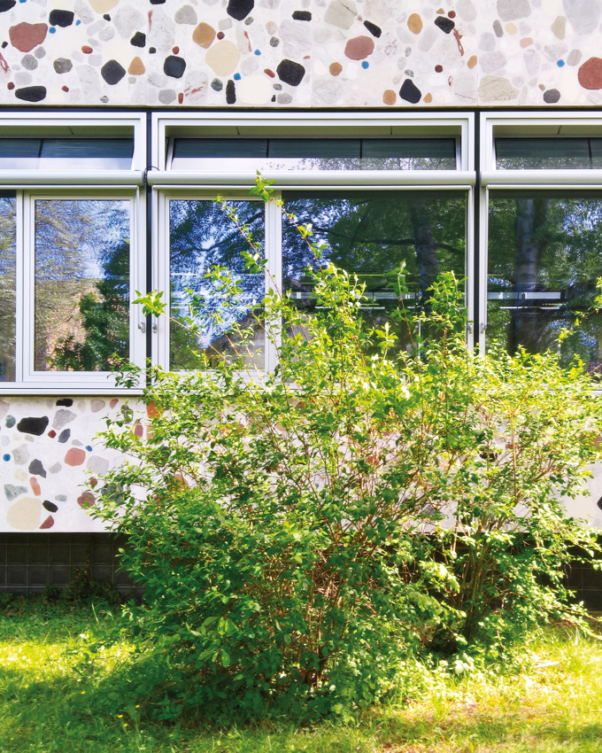 Max Planck Gymnasium