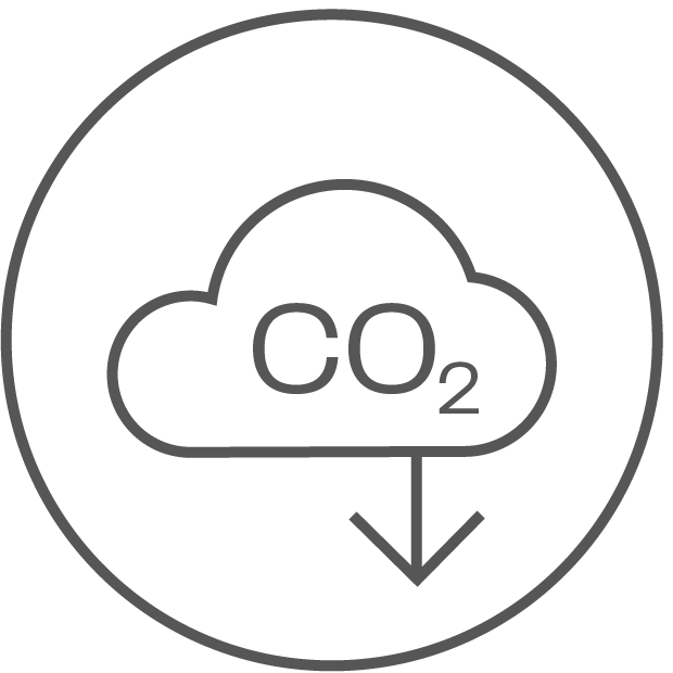 Icon CO2 Cut