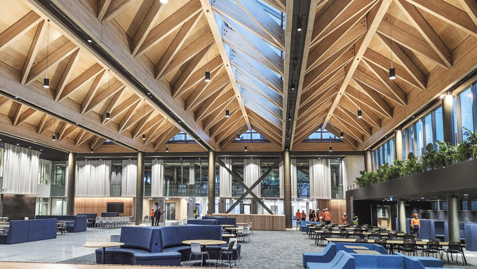 University Of Auckland Web 04