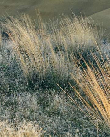 Stocksy Txp4ae76bf9lyl200 Originaldelivery 283307 Web