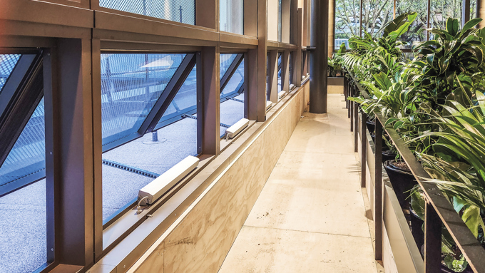 University Of Auckland Web 03