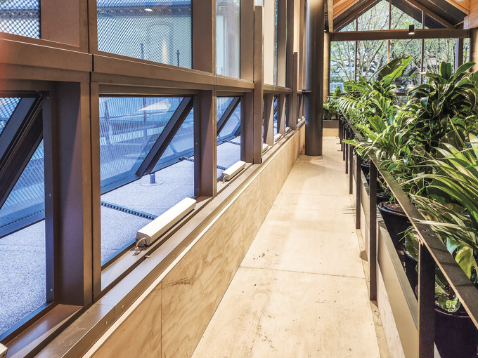 University Of Auckland Web 03